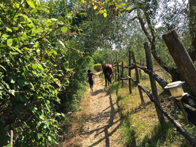 I nostri sentieri meravigliosi